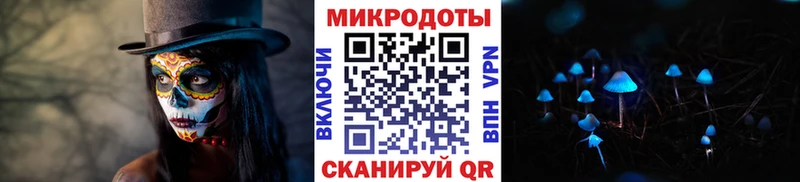 Псилоцибиновые грибы прущие грибы  как найти   Печора 