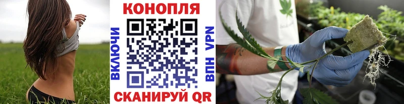 МАРИХУАНА Ganja  Печора 
